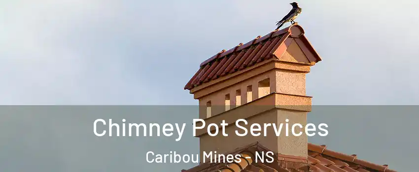  Chimney Pot Services Caribou Mines - NS