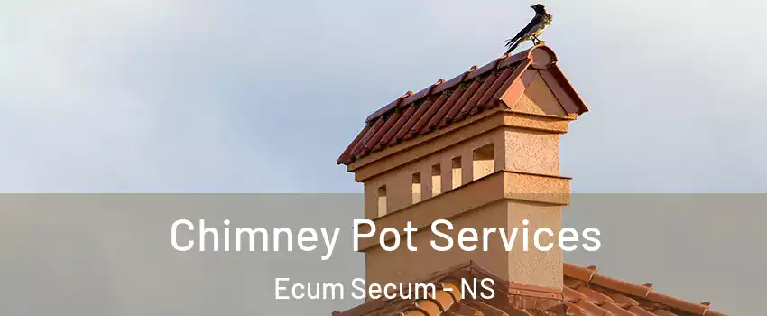  Chimney Pot Services Ecum Secum - NS
