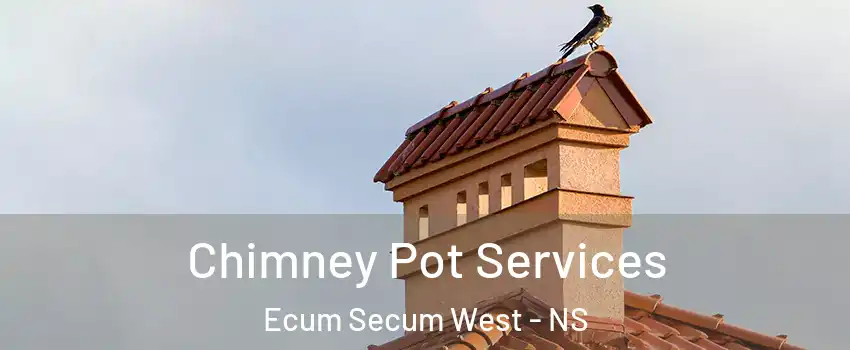  Chimney Pot Services Ecum Secum West - NS