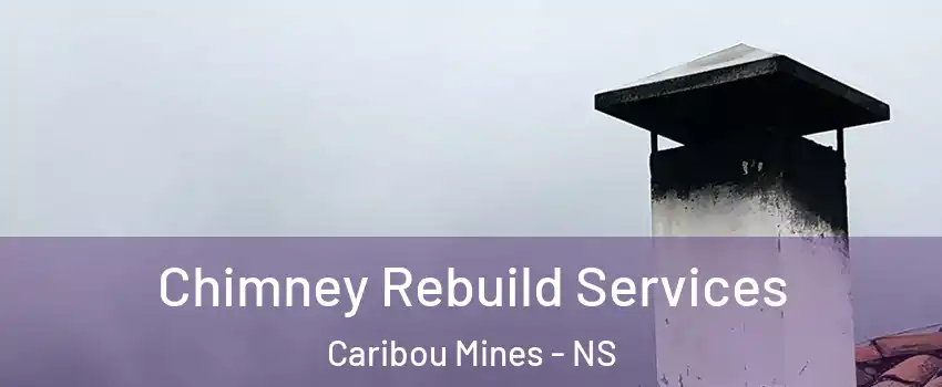  Chimney Rebuild Services Caribou Mines - NS