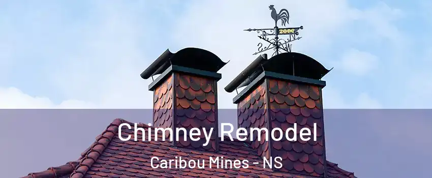  Chimney Remodel Caribou Mines - NS