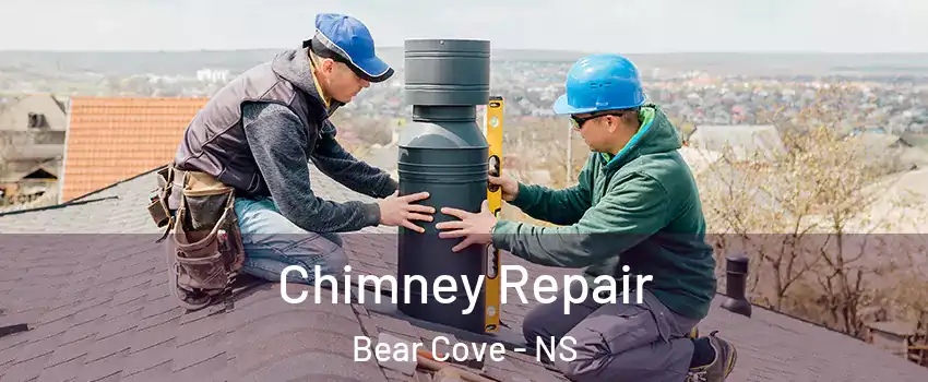  Chimney Repair Bear Cove - NS