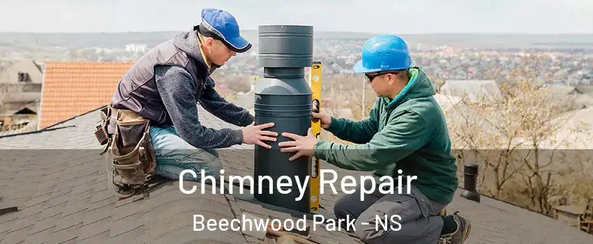  Chimney Repair Beechwood Park - NS