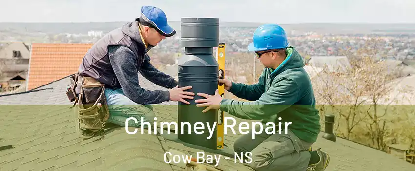  Chimney Repair Cow Bay - NS