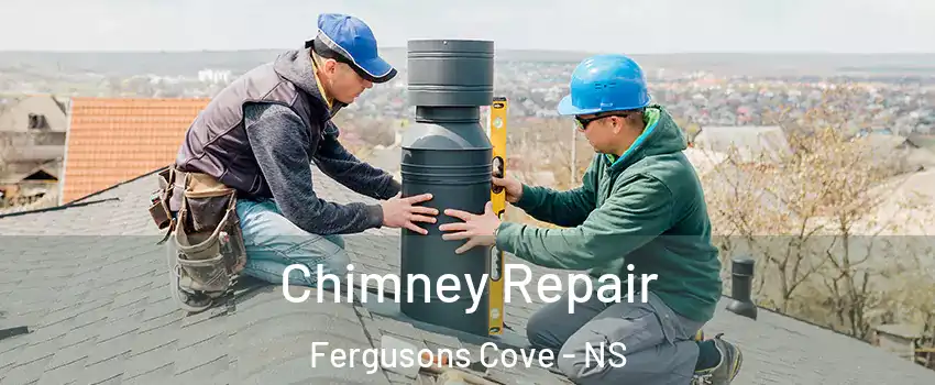 Chimney Repair Fergusons Cove - NS