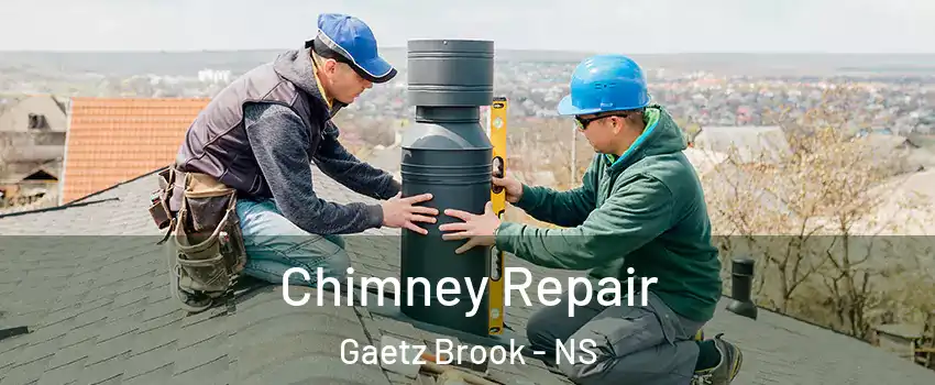  Chimney Repair Gaetz Brook - NS