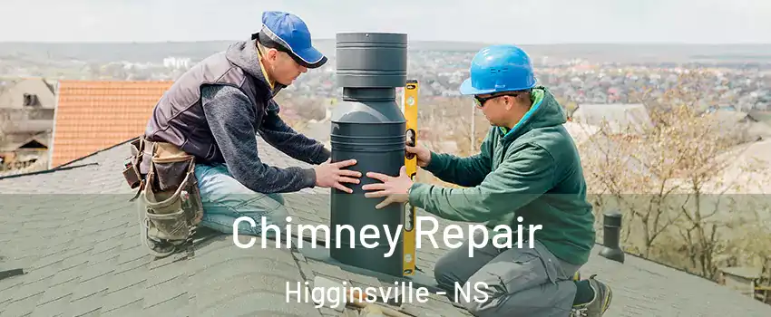  Chimney Repair Higginsville - NS