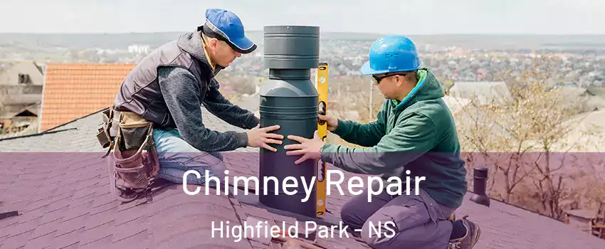  Chimney Repair Highfield Park - NS