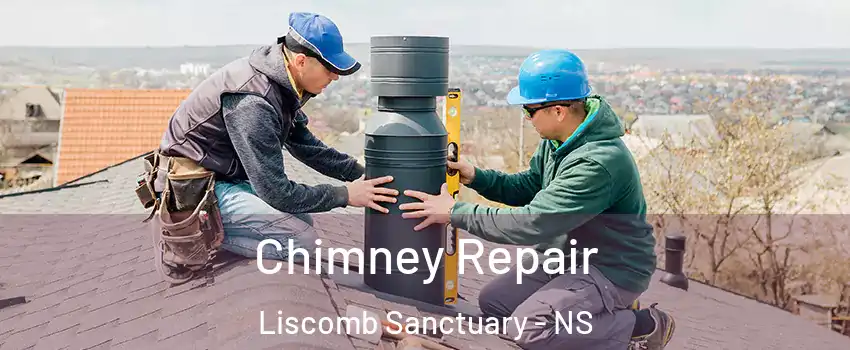  Chimney Repair Liscomb Sanctuary - NS