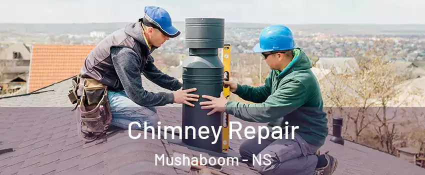  Chimney Repair Mushaboom - NS