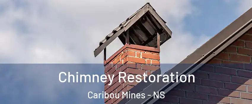  Chimney Restoration Caribou Mines - NS