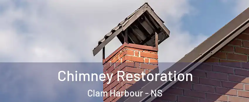  Chimney Restoration Clam Harbour - NS