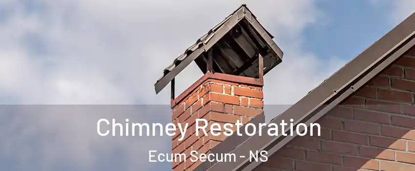  Chimney Restoration Ecum Secum - NS