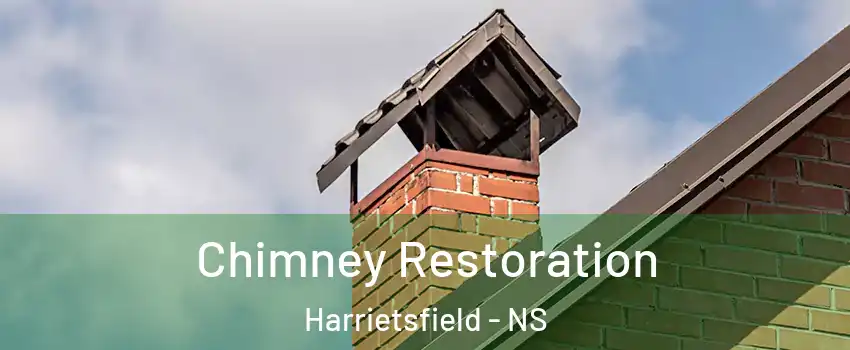  Chimney Restoration Harrietsfield - NS