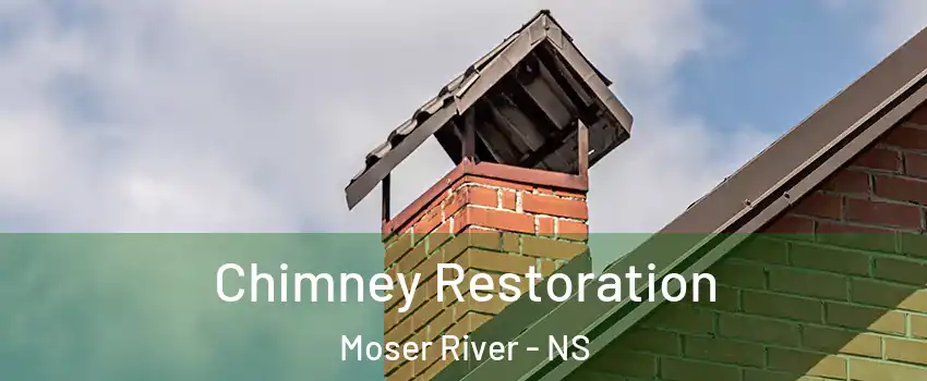  Chimney Restoration Moser River - NS