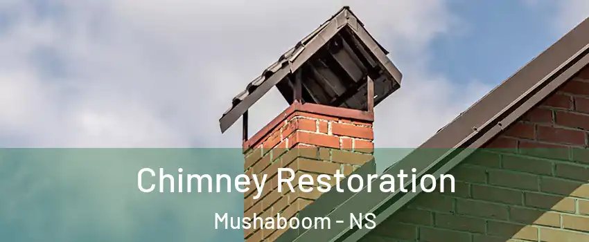  Chimney Restoration Mushaboom - NS