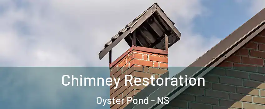  Chimney Restoration Oyster Pond - NS