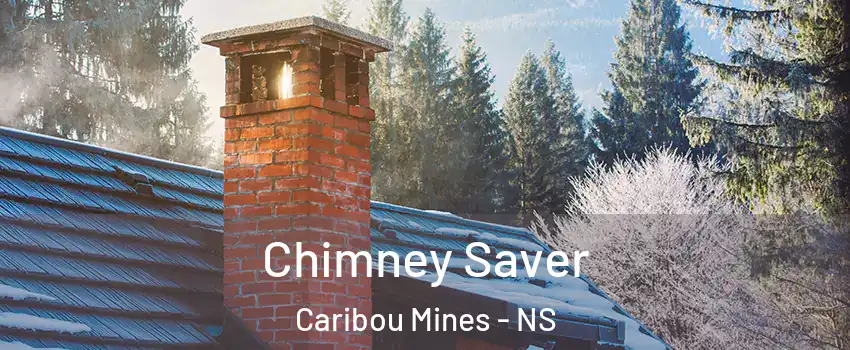  Chimney Saver Caribou Mines - NS