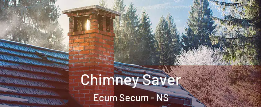  Chimney Saver Ecum Secum - NS