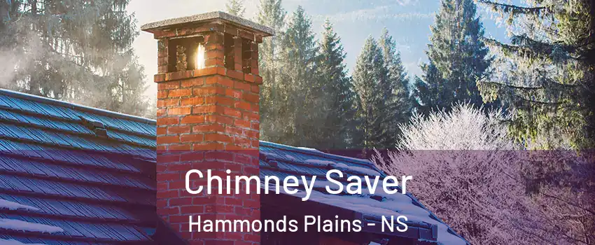  Chimney Saver Hammonds Plains - NS