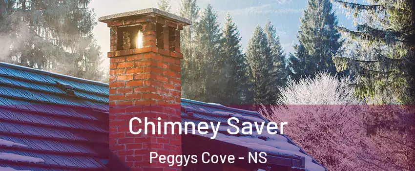  Chimney Saver Peggys Cove - NS