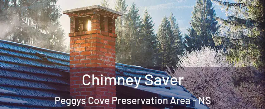  Chimney Saver Peggys Cove Preservation Area - NS