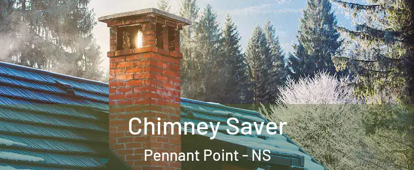  Chimney Saver Pennant Point - NS