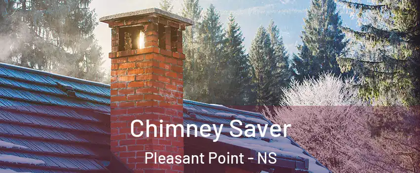  Chimney Saver Pleasant Point - NS