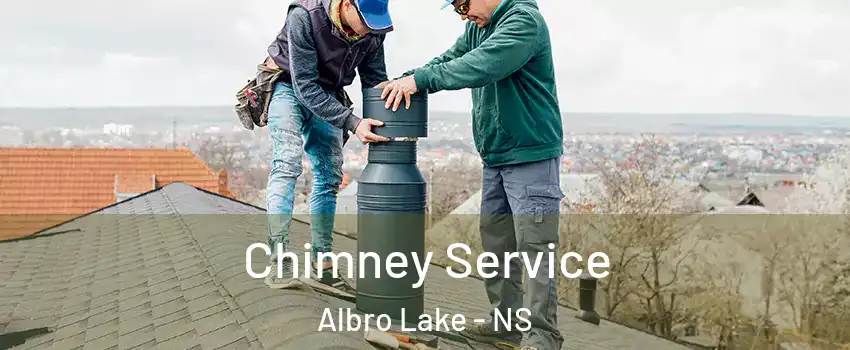  Chimney Service Albro Lake - NS