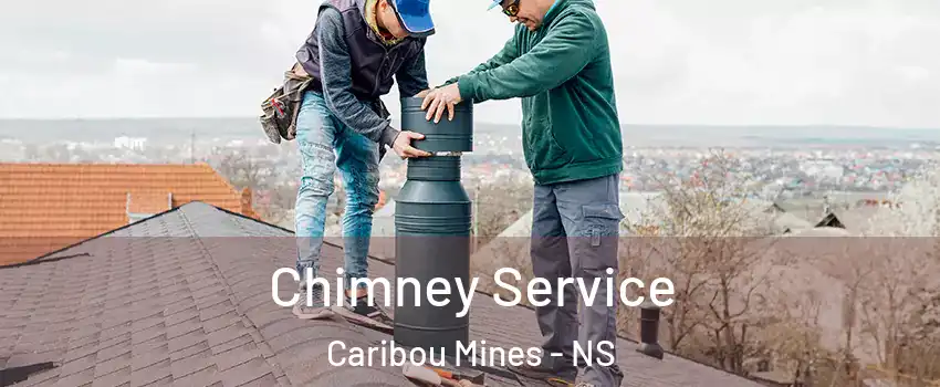  Chimney Service Caribou Mines - NS