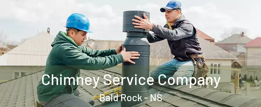  Chimney Service Company Bald Rock - NS