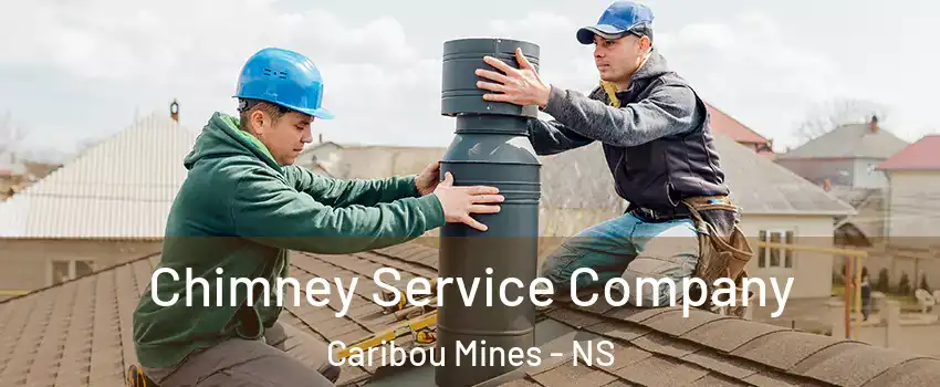 Chimney Service Company Caribou Mines - NS