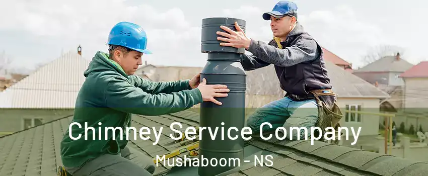  Chimney Service Company Mushaboom - NS
