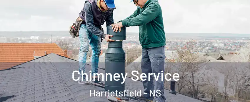 Chimney Service Harrietsfield - NS