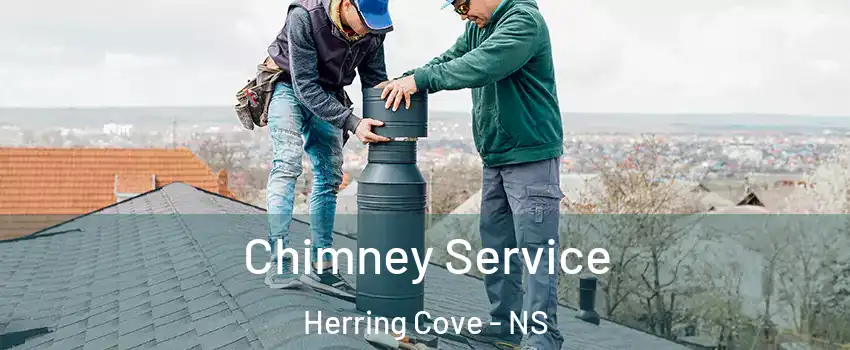  Chimney Service Herring Cove - NS