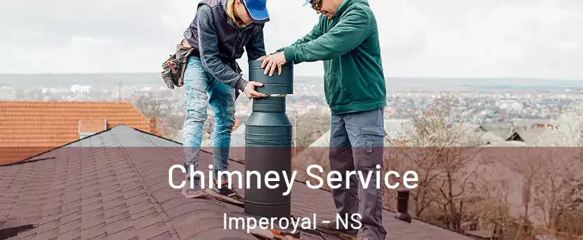  Chimney Service Imperoyal - NS