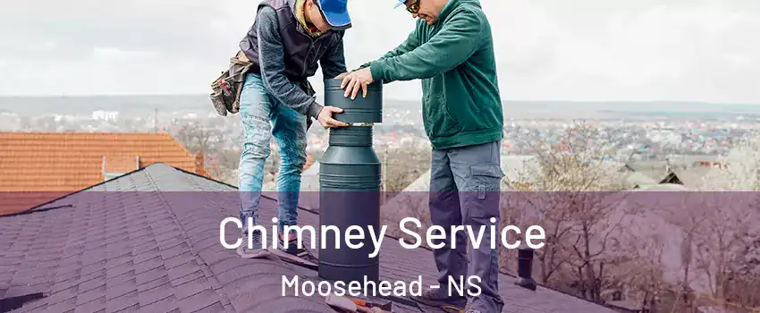  Chimney Service Moosehead - NS
