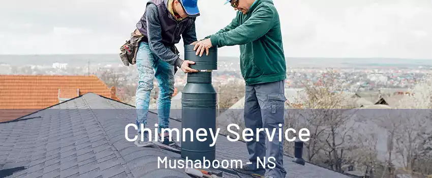  Chimney Service Mushaboom - NS