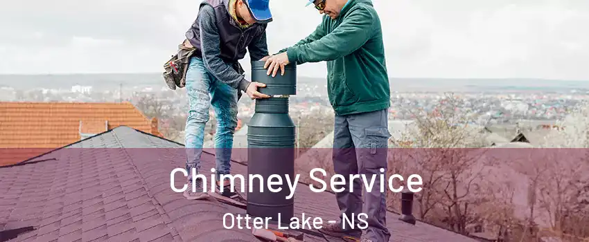  Chimney Service Otter Lake - NS