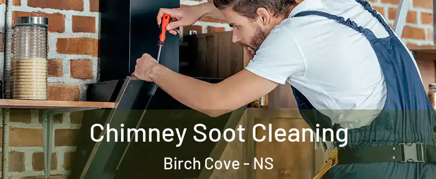  Chimney Soot Cleaning Birch Cove - NS
