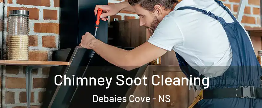  Chimney Soot Cleaning Debaies Cove - NS