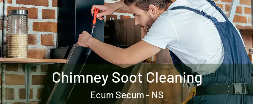  Chimney Soot Cleaning Ecum Secum - NS