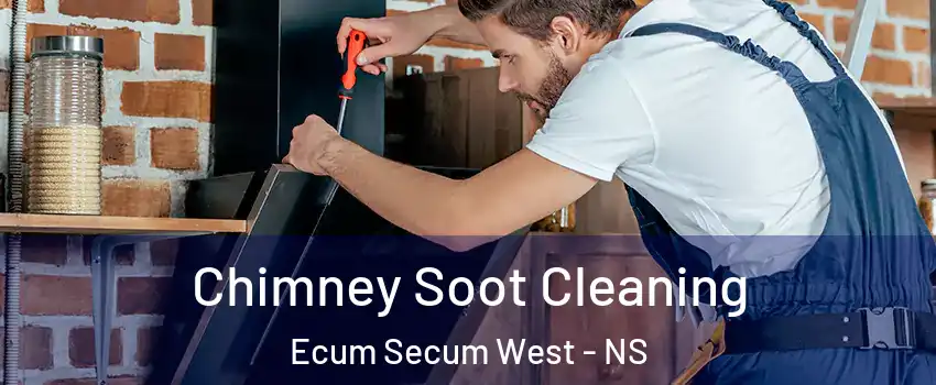  Chimney Soot Cleaning Ecum Secum West - NS