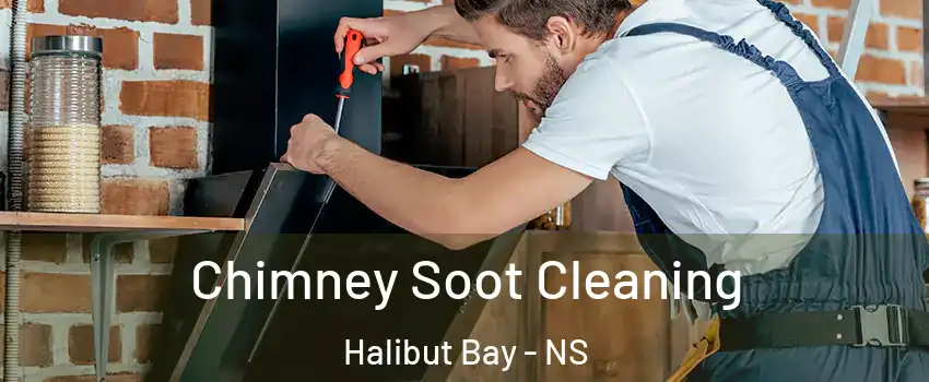  Chimney Soot Cleaning Halibut Bay - NS