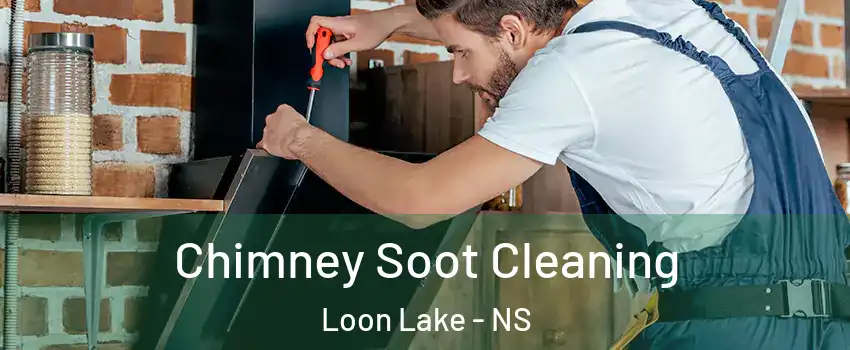  Chimney Soot Cleaning Loon Lake - NS