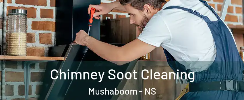  Chimney Soot Cleaning Mushaboom - NS