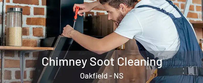  Chimney Soot Cleaning Oakfield - NS