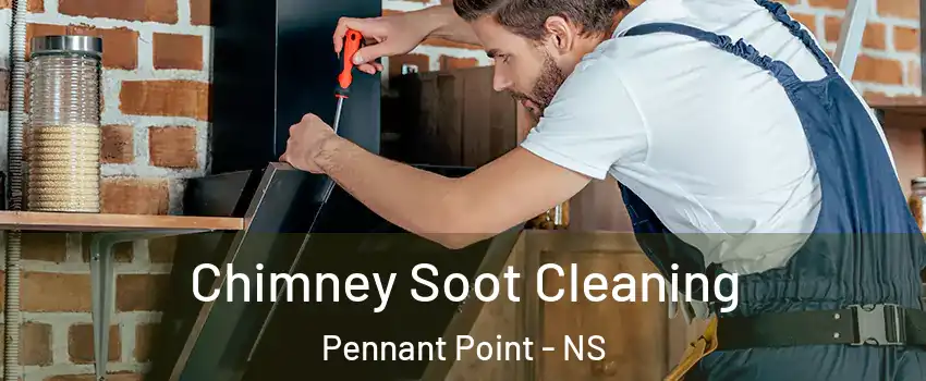  Chimney Soot Cleaning Pennant Point - NS
