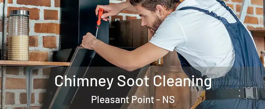  Chimney Soot Cleaning Pleasant Point - NS