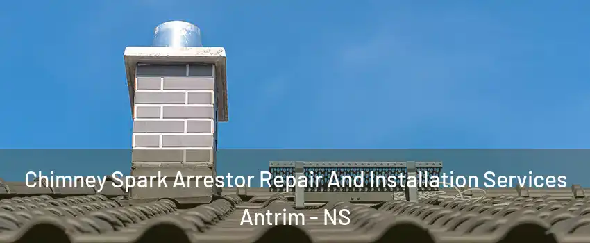  Chimney Spark Arrestor Repair And Installation Services Antrim - NS